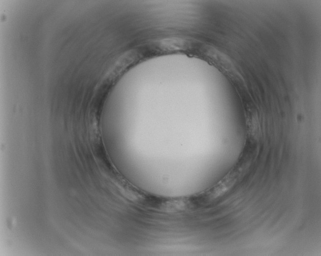 X0000071380418200607142115