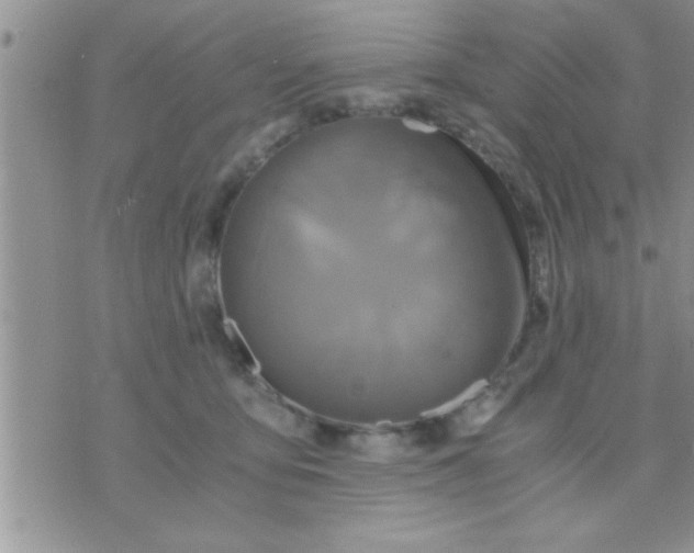 X0000071380419200607142115