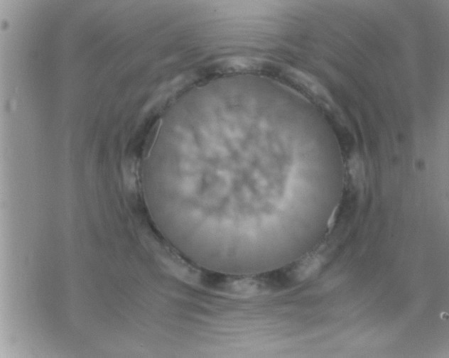 X0000071380423200607142115