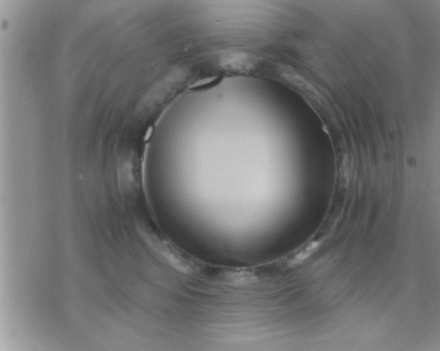 X0000071380424200607142115