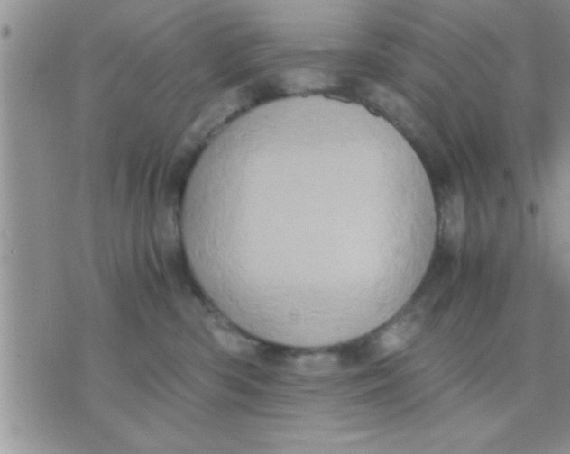 X0000071380426200607142115