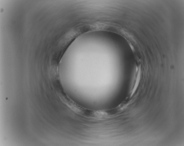 X0000071380429200607142115