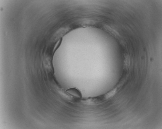 X0000071380430200607142115