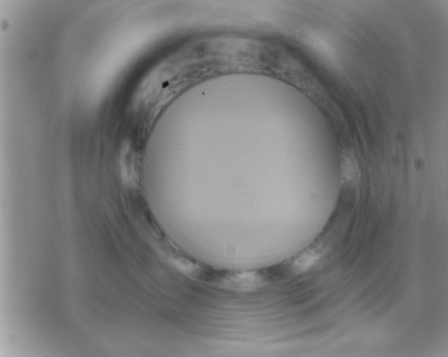 X0000071380431200607142115