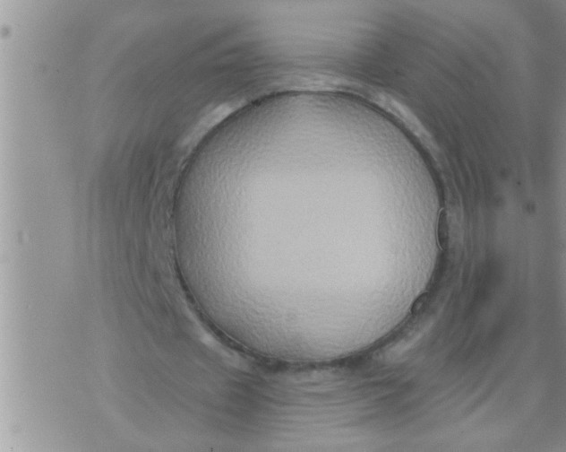 X0000071380433200607142114