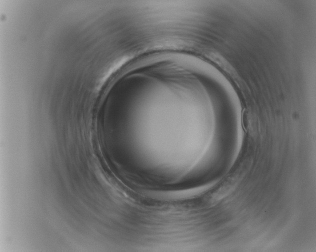 X0000071380434200607142114