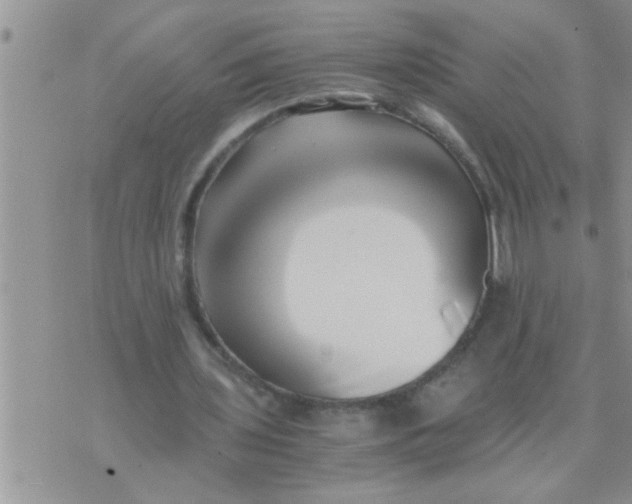 X0000071380435200607142114