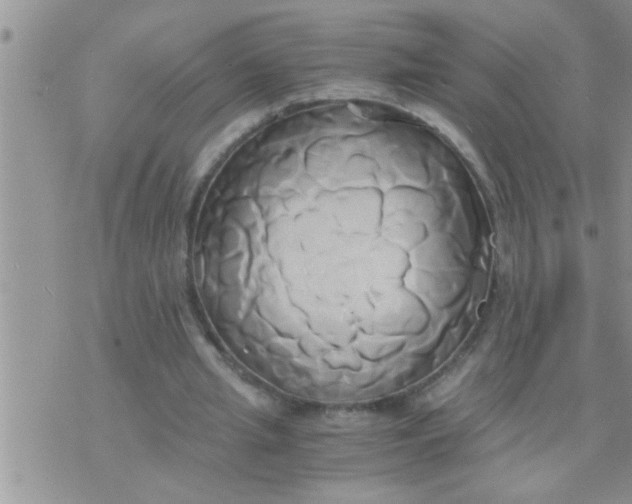 X0000071380437200607142114