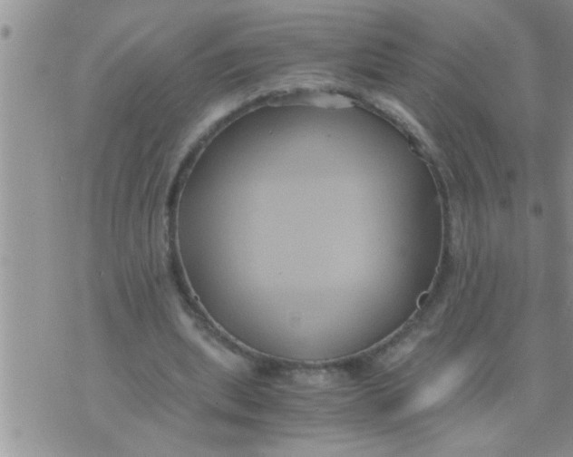 X0000071380439200607142114