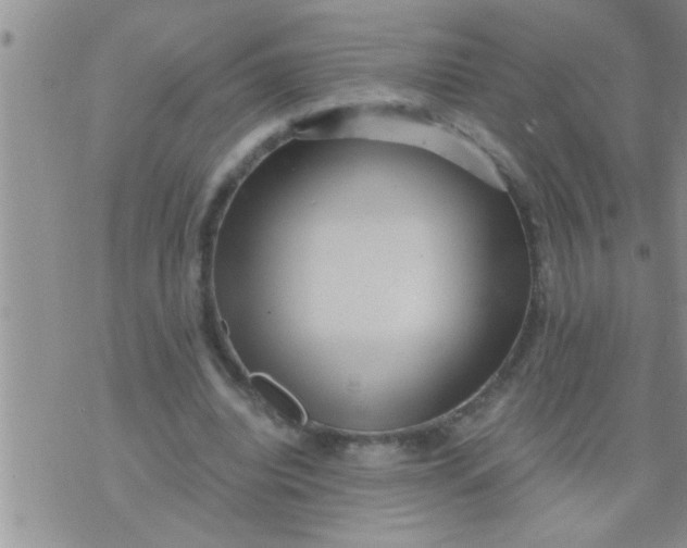 X0000071380440200607142114