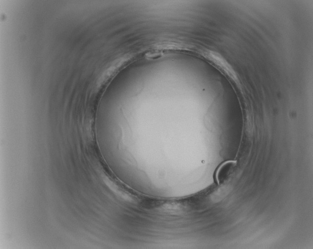 X0000071380441200607142114