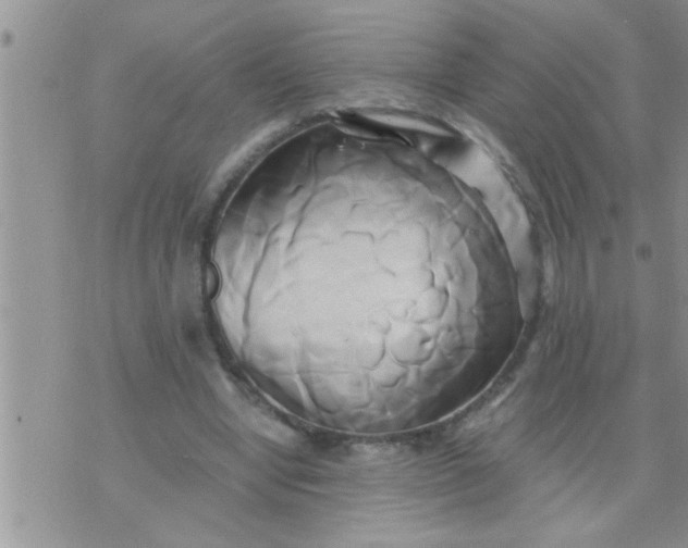 X0000071380442200607142114