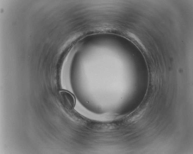 X0000071380443200607142114