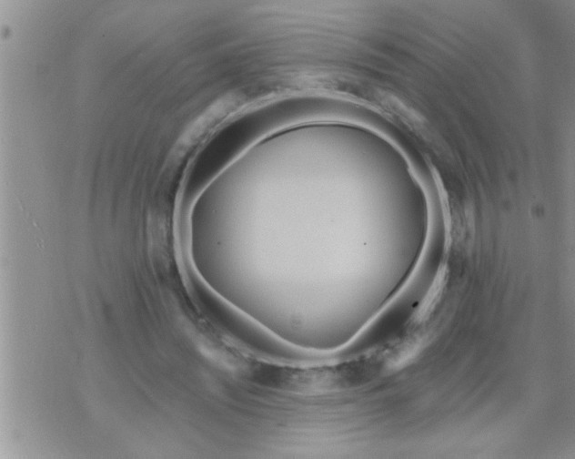 X0000071380444200607142114