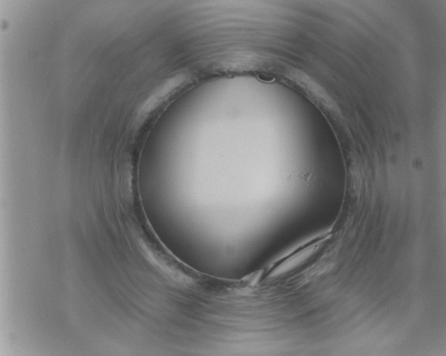 X0000071380446200607142115