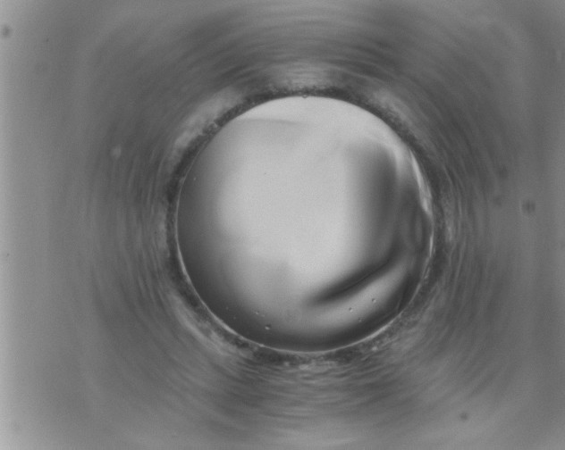 X0000071380447200607142115