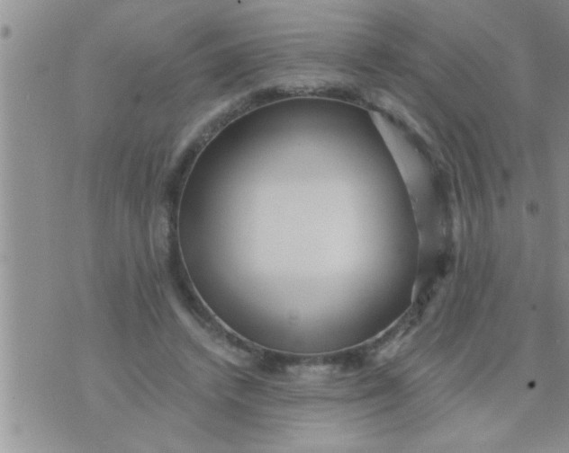 X0000071380448200607142115