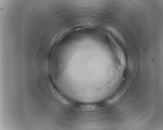 X0000071380449200607142115