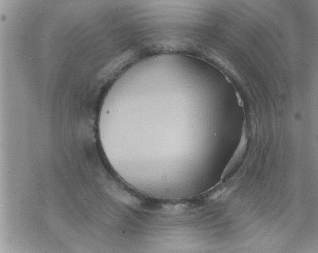 X0000071380450200607142115