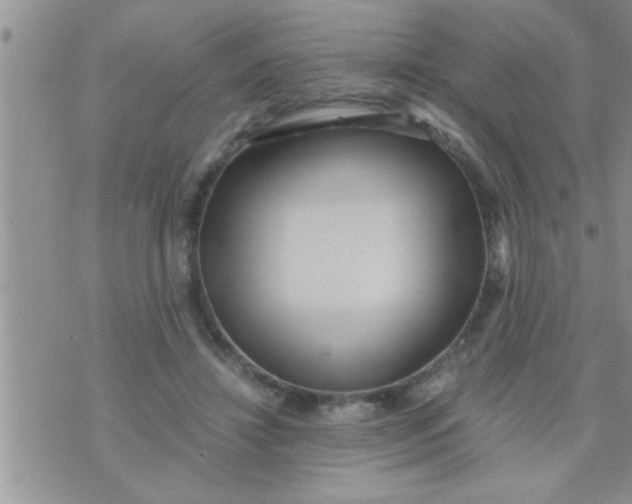 X0000071380452200607142115