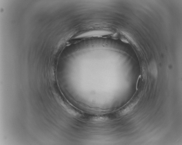 X0000071380453200607142115