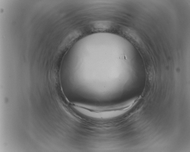 X0000071380455200607142115