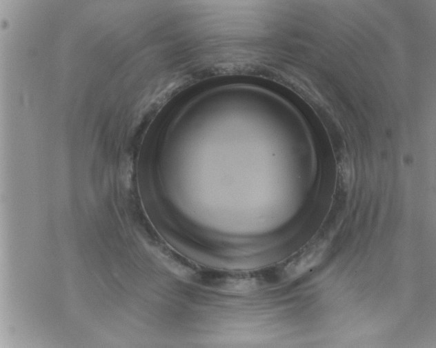 X0000071380458200607142115