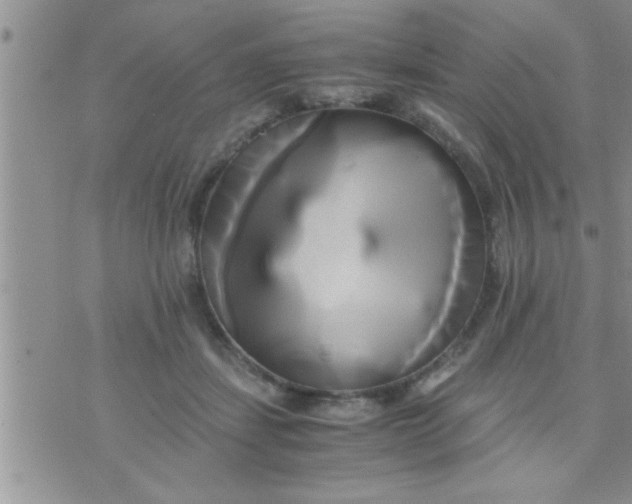 X0000071380459200607142115