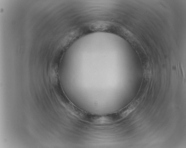 X0000071380460200607142115