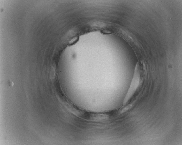 X0000071380463200607142115