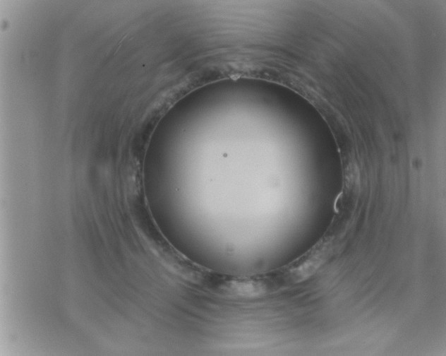 X0000071380464200607142115