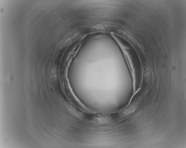 X0000071380466200607142115