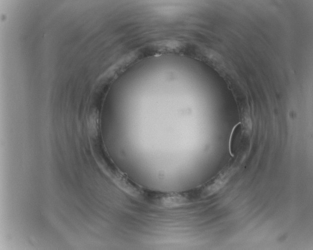 X0000071380468200607142115