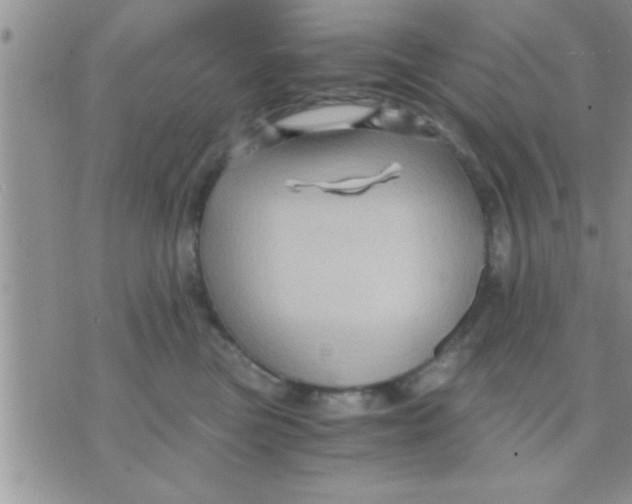 X0000071380473200607142115