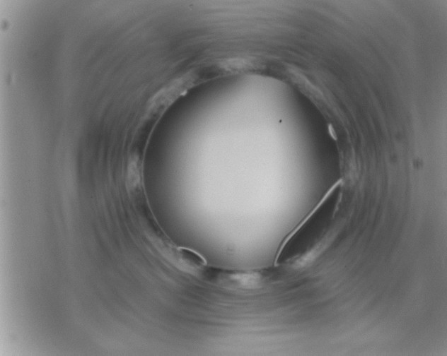 X0000071380478200607142115