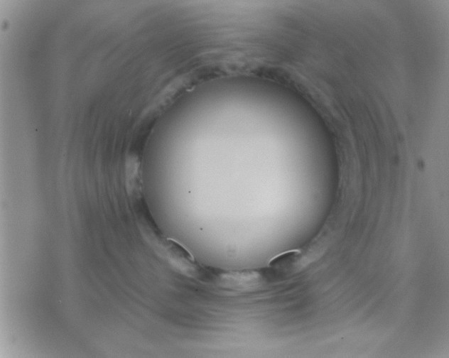 X0000071380480200607142115