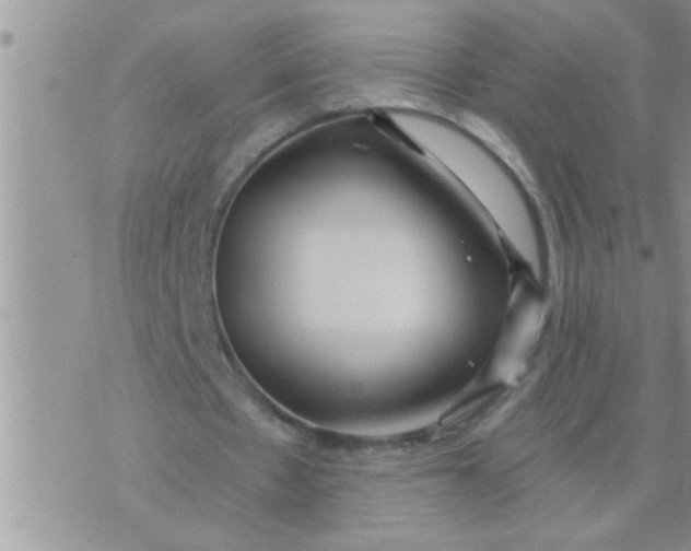 X0000071380481200607142114