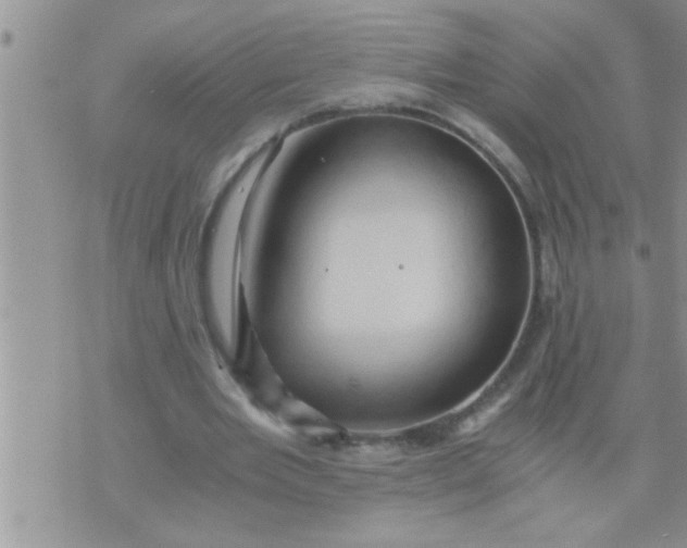 X0000071380485200607142114