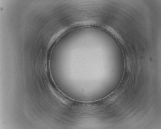 X0000071380486200607142114