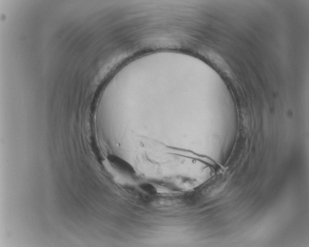 X0000071380487200607142114