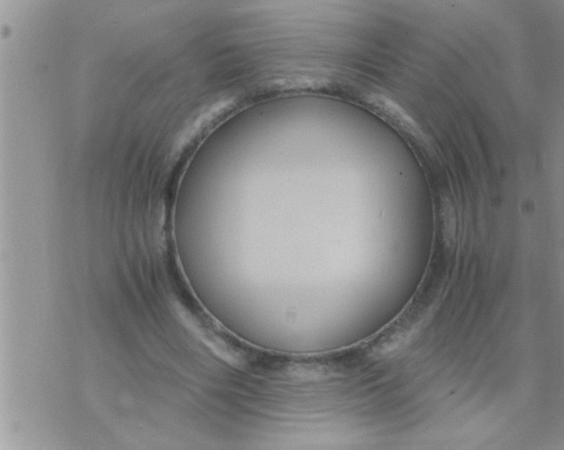 X0000071380490200607142114