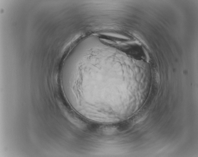 X0000071380491200607142114