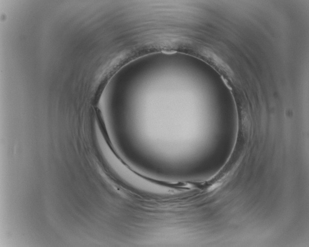 X0000071380493200607142114