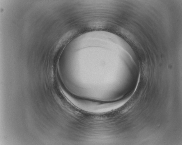 X0000071380494200607142114