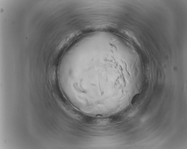 X0000071380495200607142114