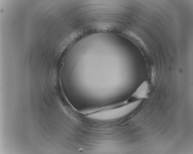 X0000071380496200607142114