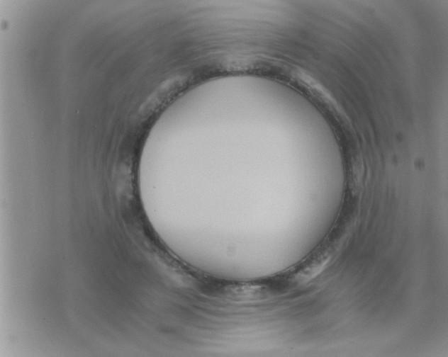 X0000071380497200607142114