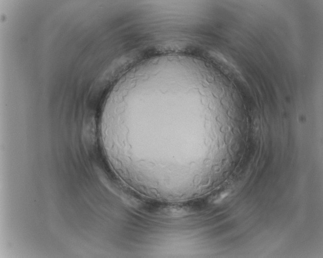 X0000071380498200607142114