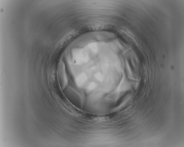 X0000071380499200607142114