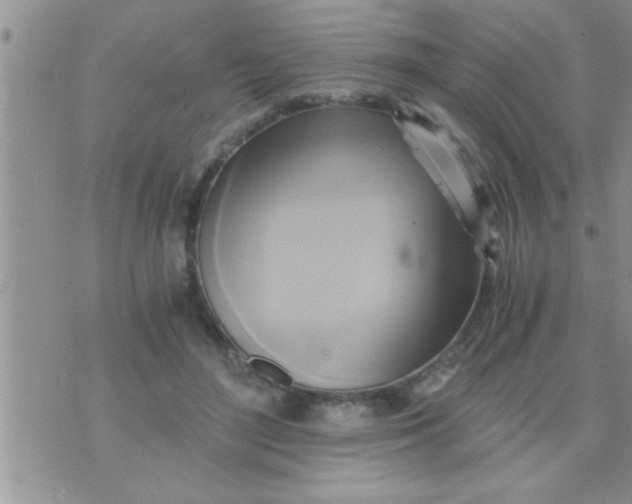 X0000071380500200607142114